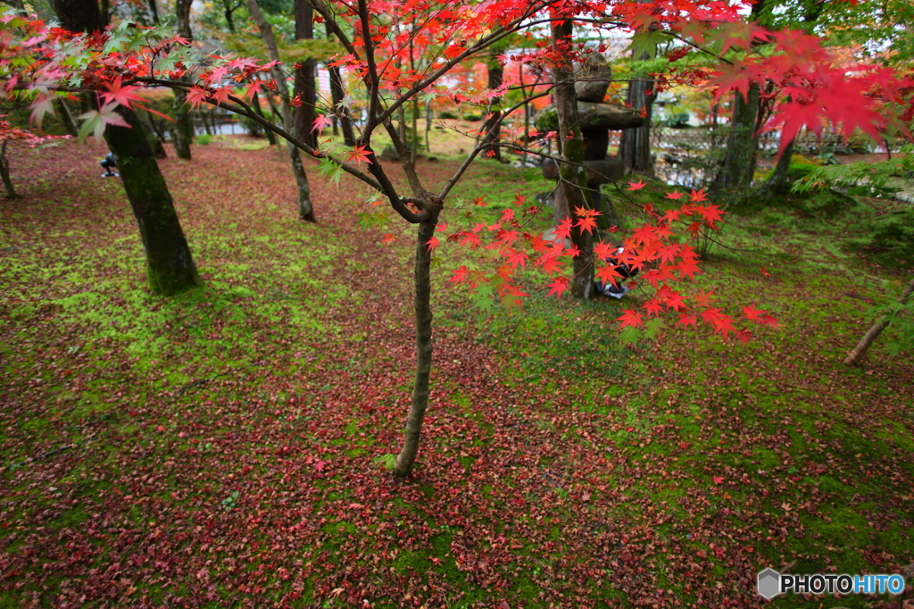 京の秋