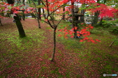 京の秋