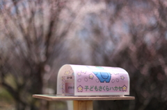 春の便り