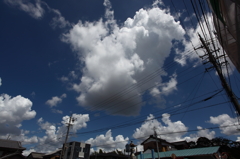夏雲