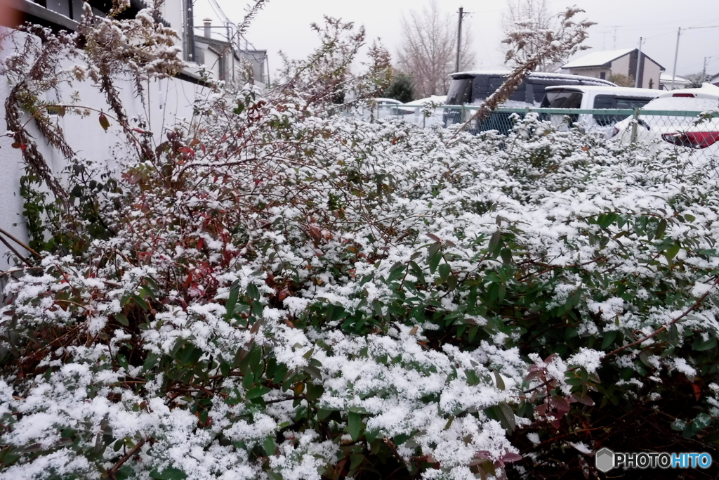 DSCF0567-2