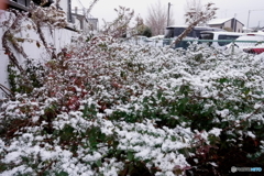 DSCF0567-2