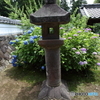あじさい寺