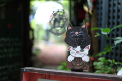 尾道の猫