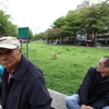 台北