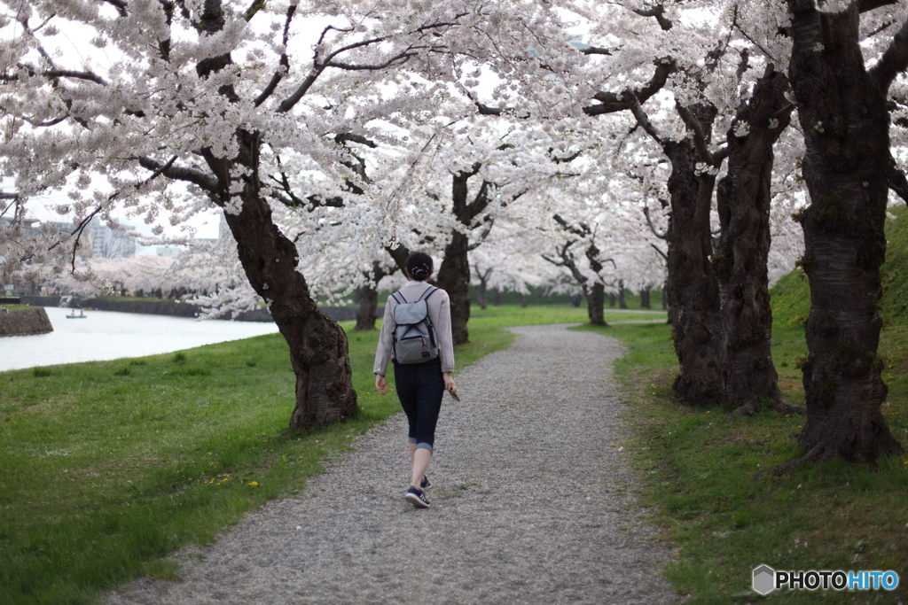 春の散歩道