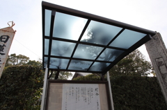 影