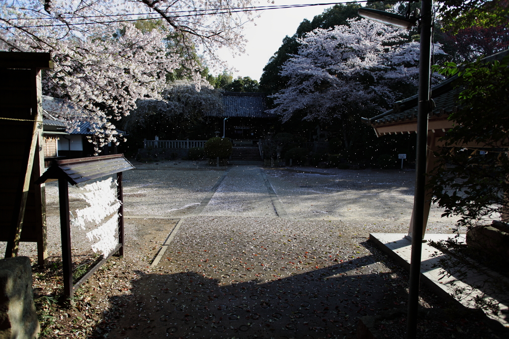 春風