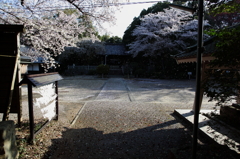 春風