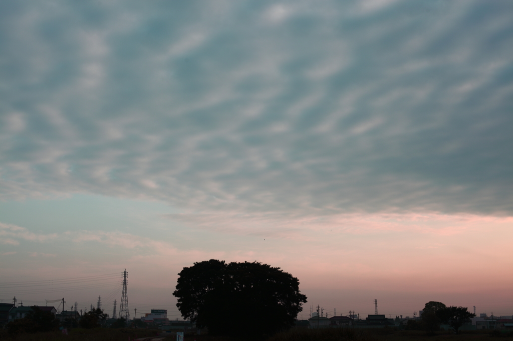 朝の空