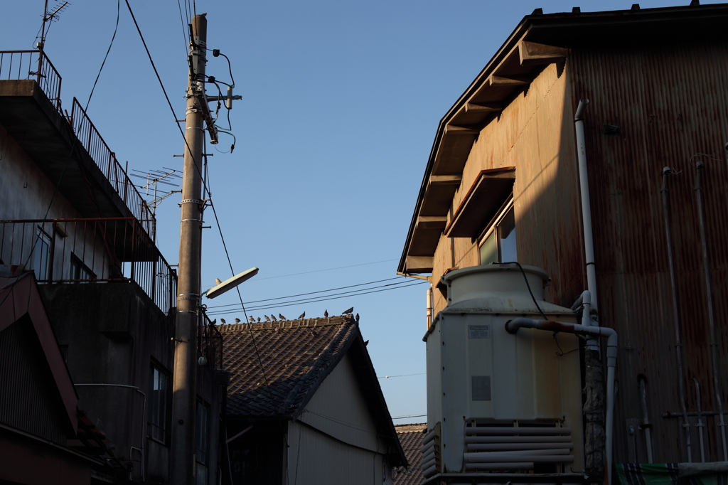 8月の朝