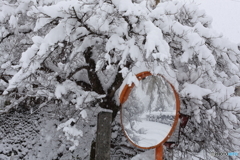 郡上八幡冬景色