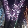 池田公園の夜