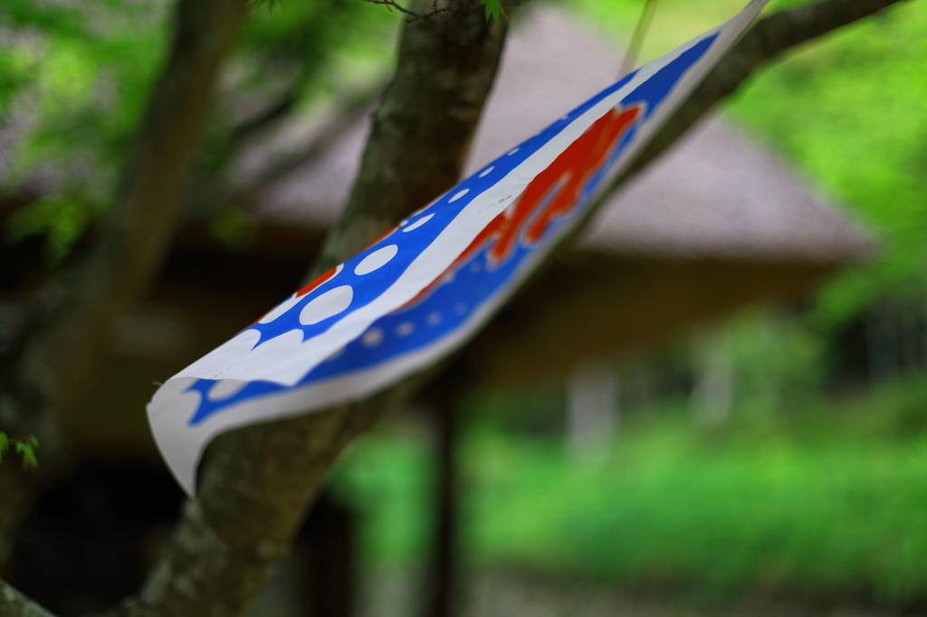 若葉の頃（１－２）