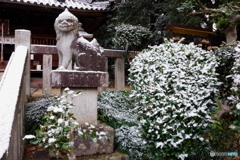 DSCF0586-2