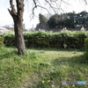 春の公園