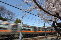 春電車