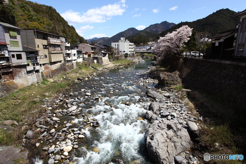 IMG_4735-1　郡上の春