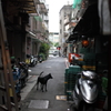 台北