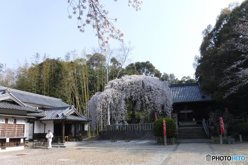 DSCF0601-1