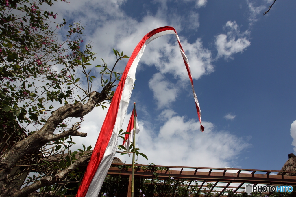 ウブドの空