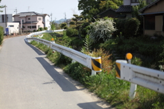 川沿いの道