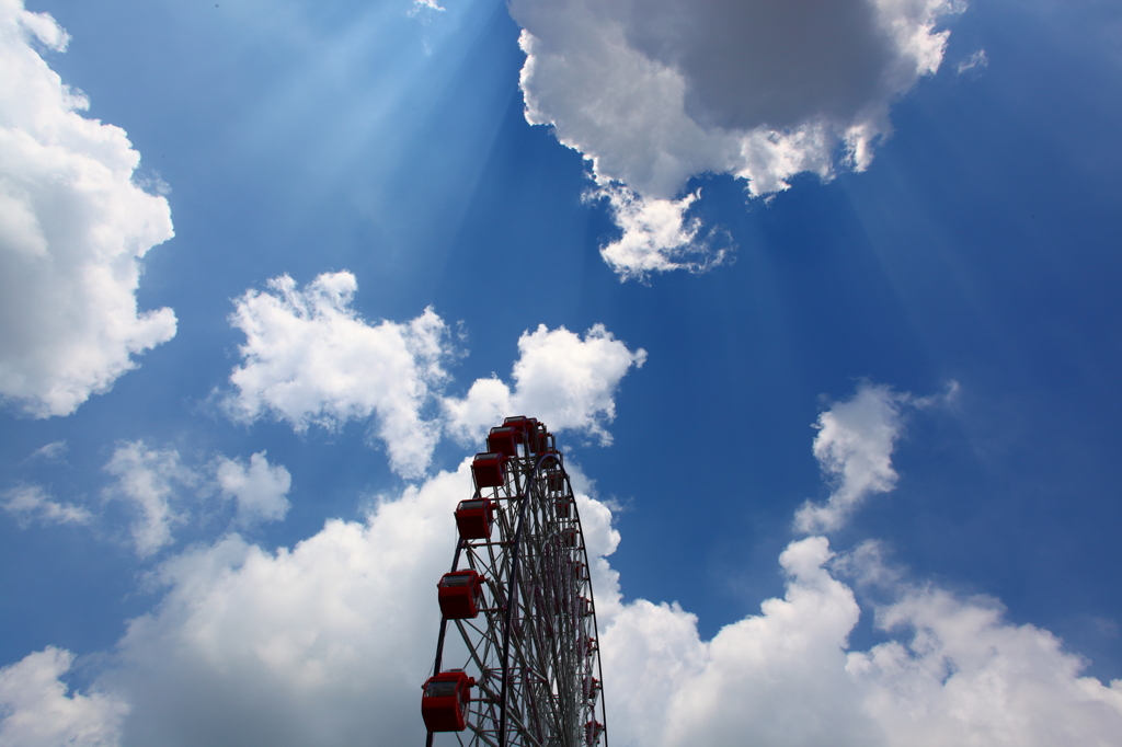 夏空観覧