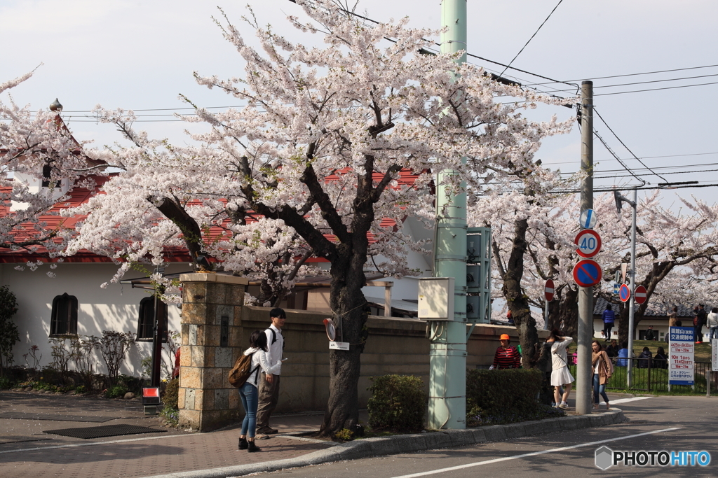 春の街角