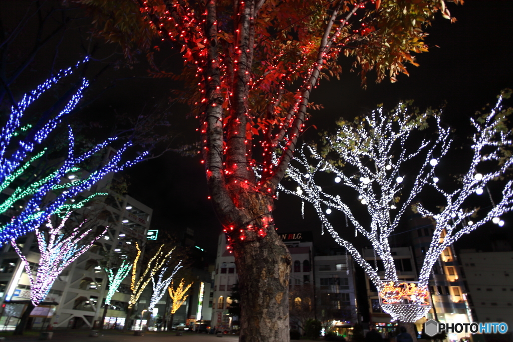 盛り場の中の公園