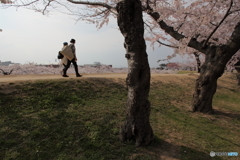 西日の五稜郭公園