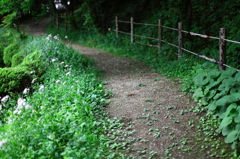 道