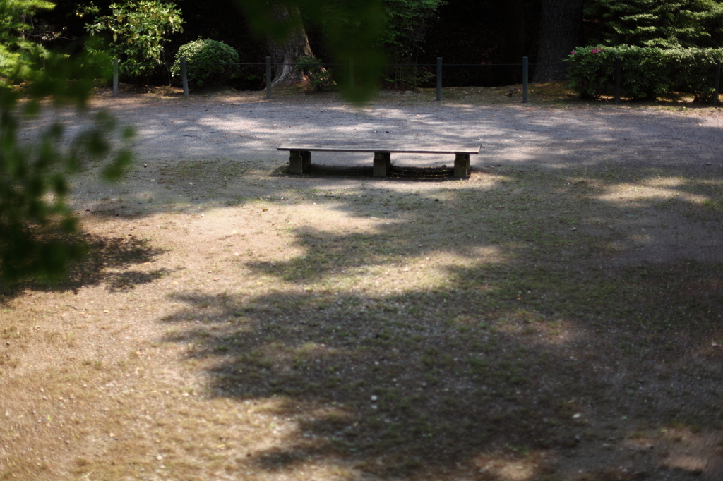 木漏れ日