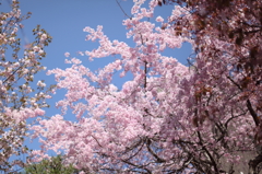 春空