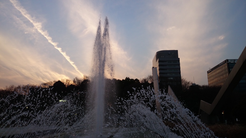 白川公園夕景