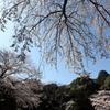 はるそら　６
