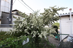 進入者