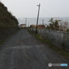 さいはての道