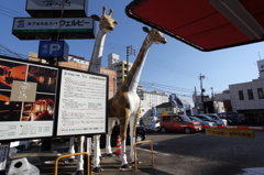 NAGOYA