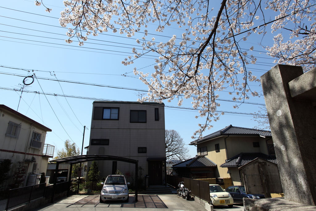 はるそら　５