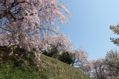 春の空
