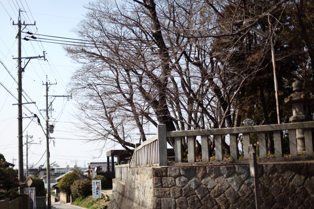 神社の前の道