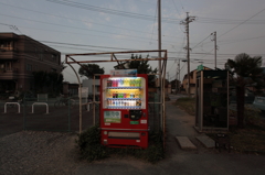 朝の自販機