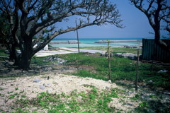港が見える空地