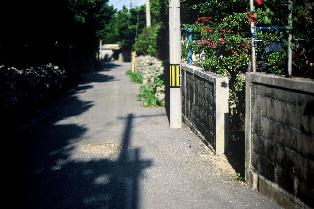 民宿の前の道
