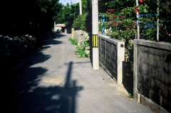 民宿の前の道