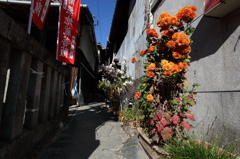 路地裏の秋