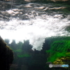 DSCF0839-1