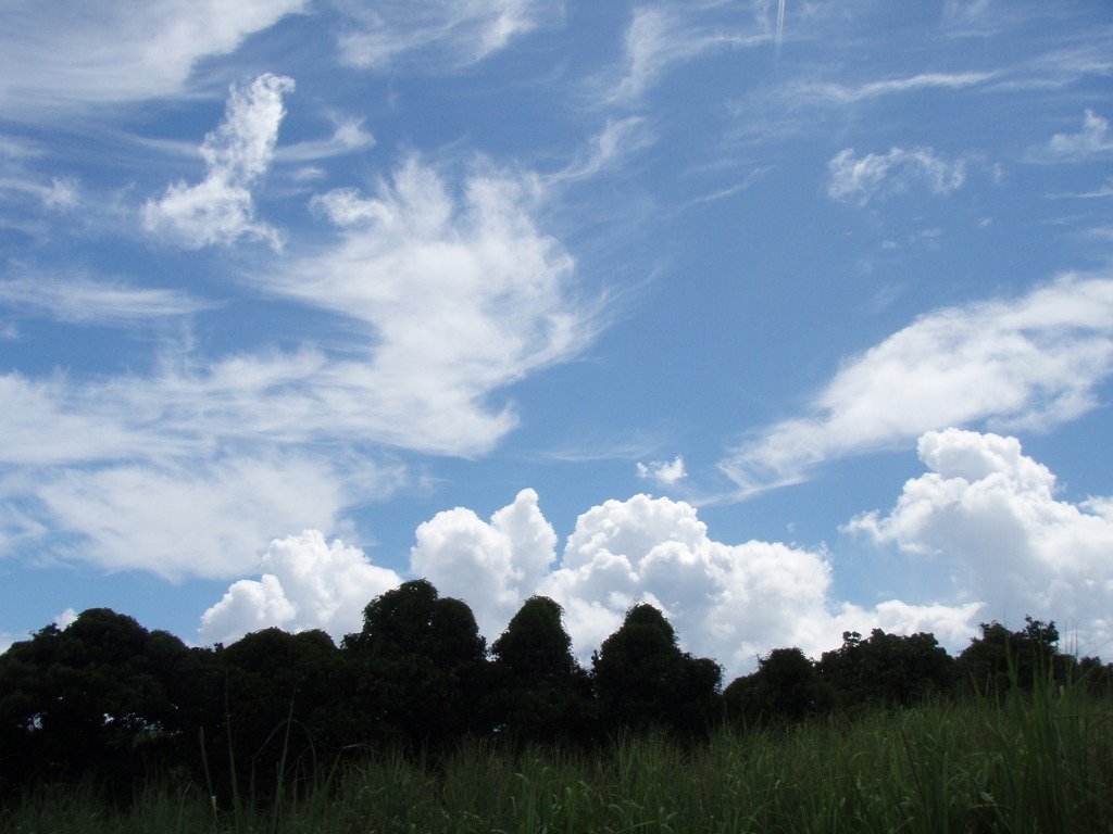 夏雲