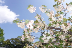 DSCF0794-1