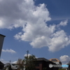 DSCF0736-1